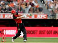 进一步强化 进一步强化